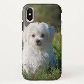 Niedlicher weißer Hund Case-Mate iPhone Hülle (Rückseite)