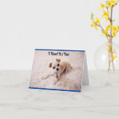 Niedlicher weißer Hund Geburtstagskarte Karte (Gelbe Blume)