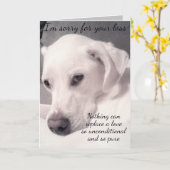 Niedlicher weißer Hund Grauer Verlust des Beileids Karte (Gelbe Blume)