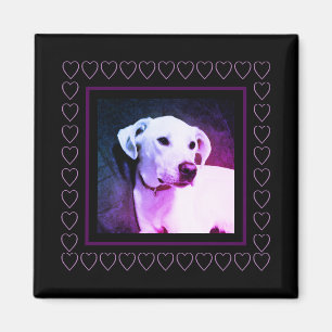 Niedlicher weißer Hund Lila Herzen Frame Valentins Magnet