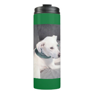 Niedlicher Weißer Hund mit grünem Scarf St. Patty Thermosbecher