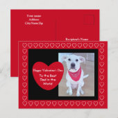Niedlicher weißer Hund mit sonnigen Ohren Rote Her Postkarte (Vorne/Hinten)