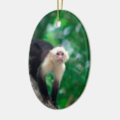 Niedlicher weißer Kapuzineraffe Nicaragua Keramik Ornament (Links)