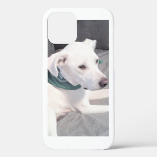 Niedlicher weißer Labrador Mix Hund mit grünem Sca Case-Mate iPhone Hülle