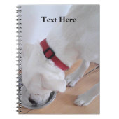 Niedlicher weißer Labrador Mix Welpe Hund zurück z Notizblock (Vorderseite)