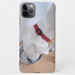 Niedlicher weißer Labrador Mix Welpenhund Trinkwas iPhone 11Pro Max Hülle
