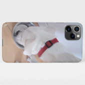 Niedlicher weißer Labrador Mix Welpenhund Trinkwas iPhone Hülle (Rückseite (Horizontal))