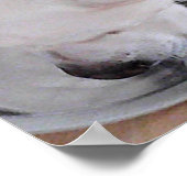 Niedlicher weißer Labrador Mix Welpenhund Trinkwas Poster (Ecke)