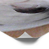 Niedlicher weißer Labrador Mix Welpenhund Trinkwas Poster (Ecke)