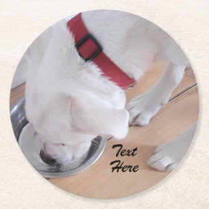 Niedlicher weißer Labrador Mix Welpenhund Trinkwas Runder Pappuntersetzer