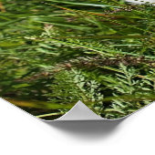 Niedlicher, weißer Malteser Welpenhund Poster (Ecke)