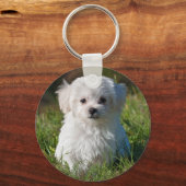 Niedlicher, weißer Malteser Welpenhund Schlüsselanhänger (Vorderseite)