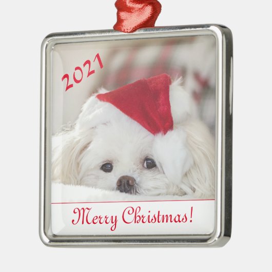 Niedlicher, weißer maltesischer Welpenhund in eine Ornament Aus Metall (Links)