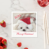 Niedlicher, weißer maltesischer Welpenhund in eine Serviette (Beispiel)