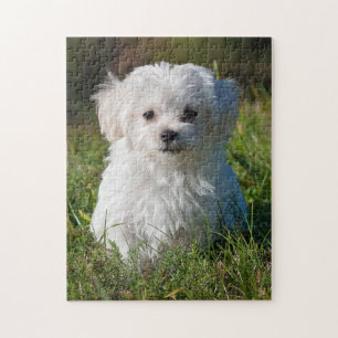 Niedlicher weißer maltesischer Welpenhund Puzzle