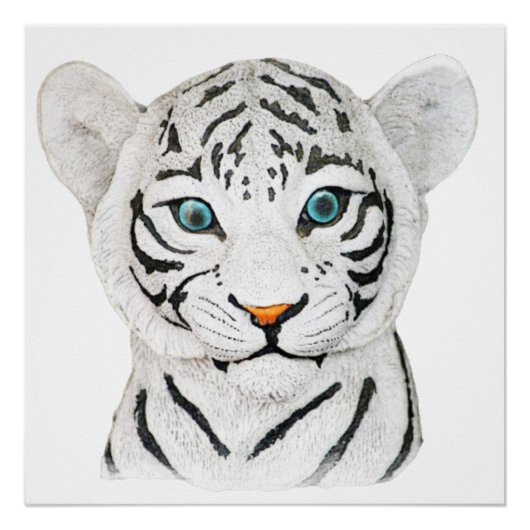 Niedlicher weißer Tiger mit blauen Augen Poster (Vorderseite)