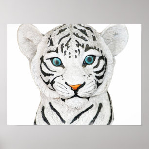 Niedlicher weißer Tiger mit blauen Augen Poster