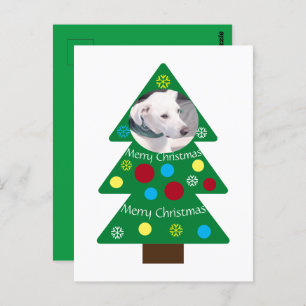 Niedlicher weißer Welpenhund farbenfrohe Weihnacht Postkarte