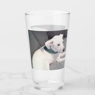 Niedlicher weißer Welpenhund mit grünem Scarf grau Glas