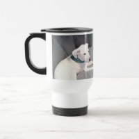 Niedlicher weißer Welpenhund mit grünem Scarf grau