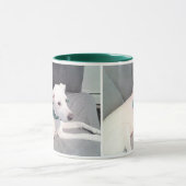 Niedlicher weißer Welpenhund mit grünem Scarf grau Tasse (Zentrum)