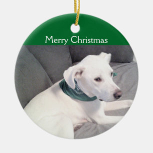 Niedlicher weißer Welpenhund mit grünem Scarf Keramik Ornament