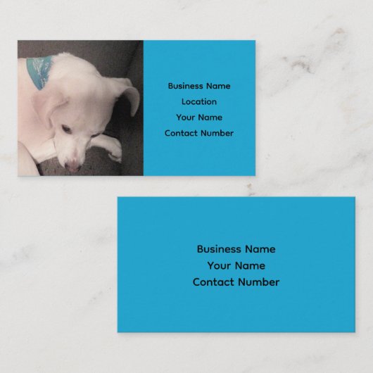 Niedlicher weißer Welpenhund Schöne blaue Visitenk Visitenkarte (Vorne/Hinten)