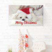 Niedlicher Weißhund in einem Red Christmas Hat Banner (Insitu)