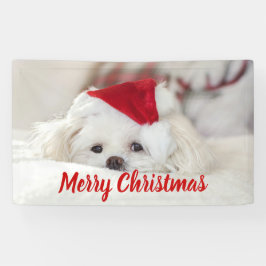 Niedlicher Weißhund in einem Red Christmas Hat Banner