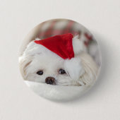 Niedlicher Weißhund in einem Red Christmas Hat Button (Vorderseite)