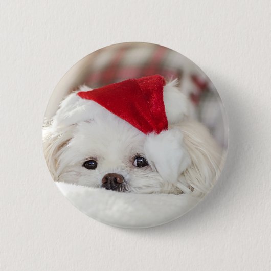 Niedlicher Weißhund in einem Red Christmas Hat Button (Vorderseite)