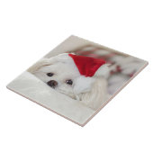 Niedlicher Weißhund in einem Red Christmas Hat Fliese (Seite)