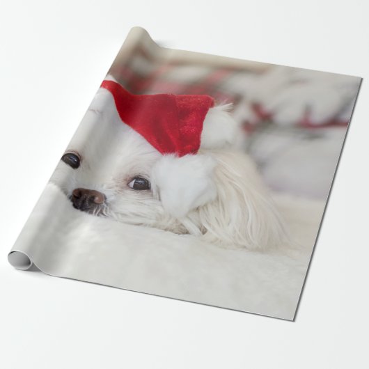 Niedlicher Weißhund in einem Red Christmas Hat Geschenkpapier (Ungerollt)