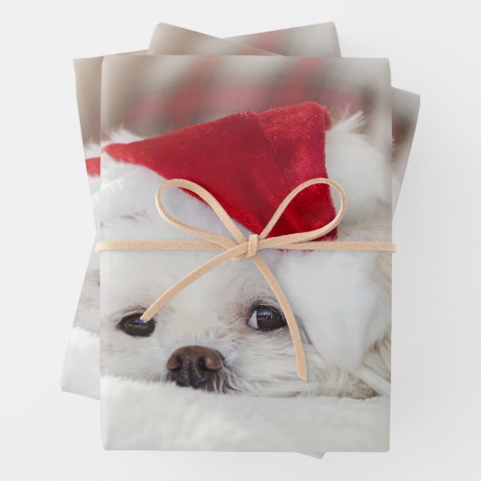 Niedlicher Weißhund in einem Red Christmas Hat Geschenkpapier Set (Beispiel)