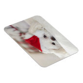 Niedlicher Weißhund in einem Red Christmas Hat Magnet (Rechte Seite)