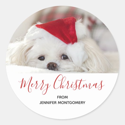 Niedlicher Weißhund in einem Red Christmas Hat Runder Aufkleber (Vorderseite)