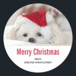 Niedlicher Weißhund in einem Red Christmas Hat Runder Aufkleber<br><div class="desc">Sticker mit einem bezaubernden Foto eines niedlichen weißen Hundes,  der einen roten Weihnachtshut trägt.</div>
