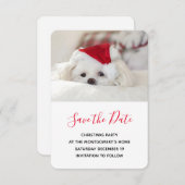 Niedlicher Weißhund in einem Red Christmas Hat Save The Date (Vorne/Hinten)