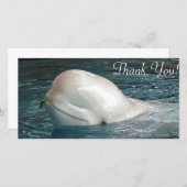 Niedlicher Weißwalwal haftet Gesicht aus Pool Dankeskarte (Vorne/Hinten)