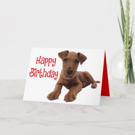 Niedlicher Welpe Airedale Terrier Hund Geburtstag Karte (Vorderseite)
