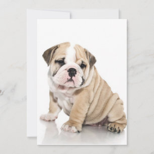 Niedlicher Welpe Bulldog Sad Feiertagskarte