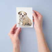 Niedlicher Welpe Bulldog Sad Flyer (Gruppe)