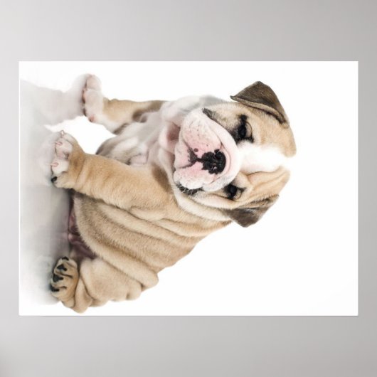 Niedlicher Welpe Bulldog Sad Poster (Vorne)