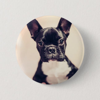 niedlicher Welpe Button