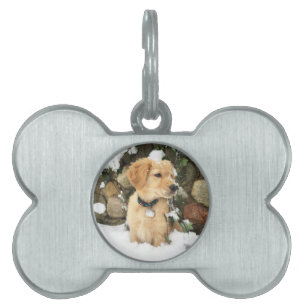 Niedlicher Welpe-gelbe Labrador-Golden Retriever Tiermarke