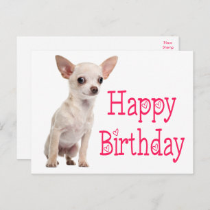 Niedlicher Welpe Hund Funny Chihuahua Geburtstag  Postkarte