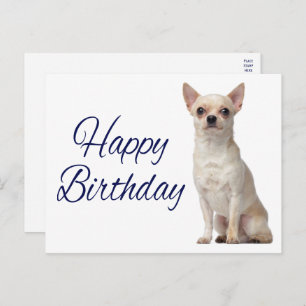 Niedlicher Welpe Hund Funny Chihuahua Geburtstagsk Postkarte