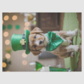 Niedlicher Welpe mit St. Patrick's Outfit in einem Seidenpapier (Vorderseite)