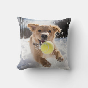 🐕 Niedlicher Welpe mit Tennisbällen ❄️ Schnee Kissen