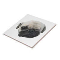 Niedlicher Welpe Mops Dog Friend ... か わ い い 犬 子